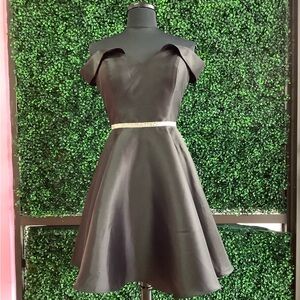 Chic, Black, Strapless Dress.  Also available in Royal Blue